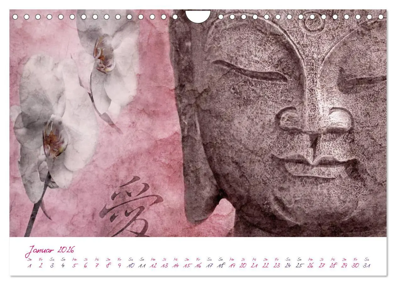 Bild: 9783516225617 | Momente in Rosa (Wandkalender 2026 DIN A4 quer), CALVENDO...