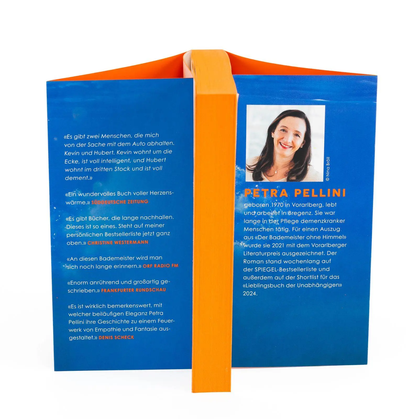 Bild: 9783499015717 | Der Bademeister ohne Himmel | Petra Pellini | Taschenbuch | 320 S.