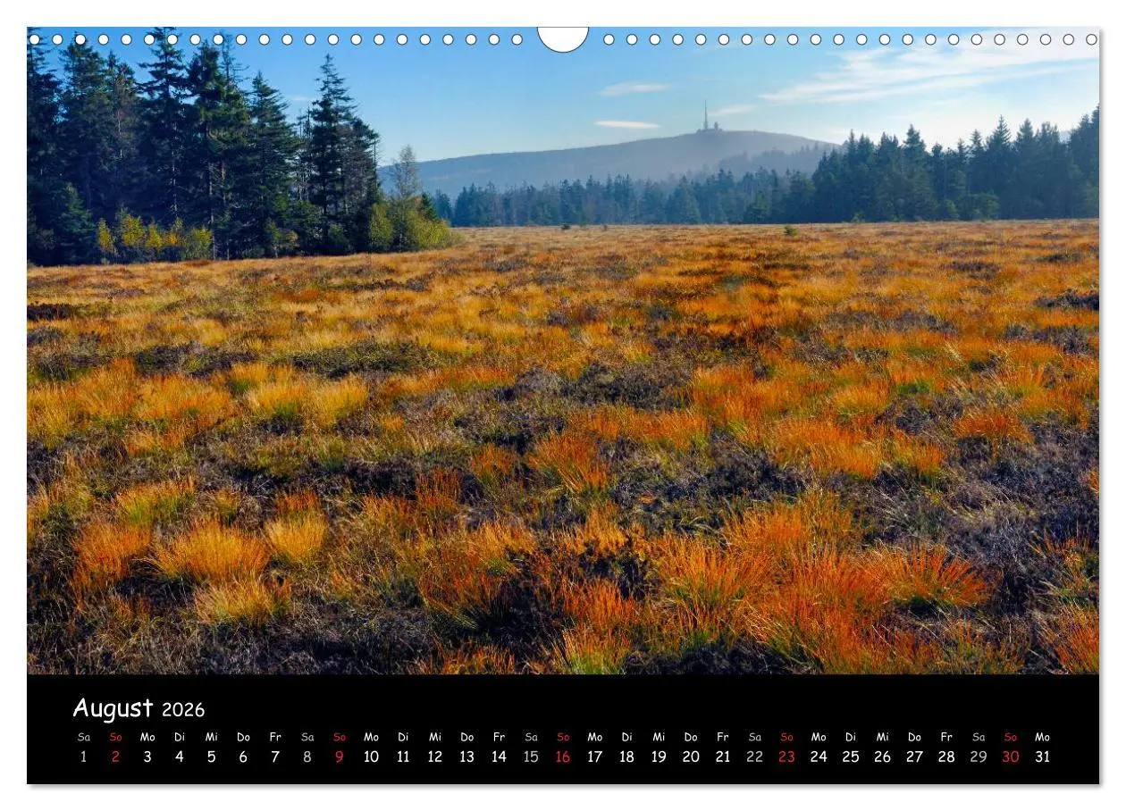 Bild: 9783516075717 | Faszination Harz 2026 (Wandkalender 2026 DIN A3 quer), CALVENDO...