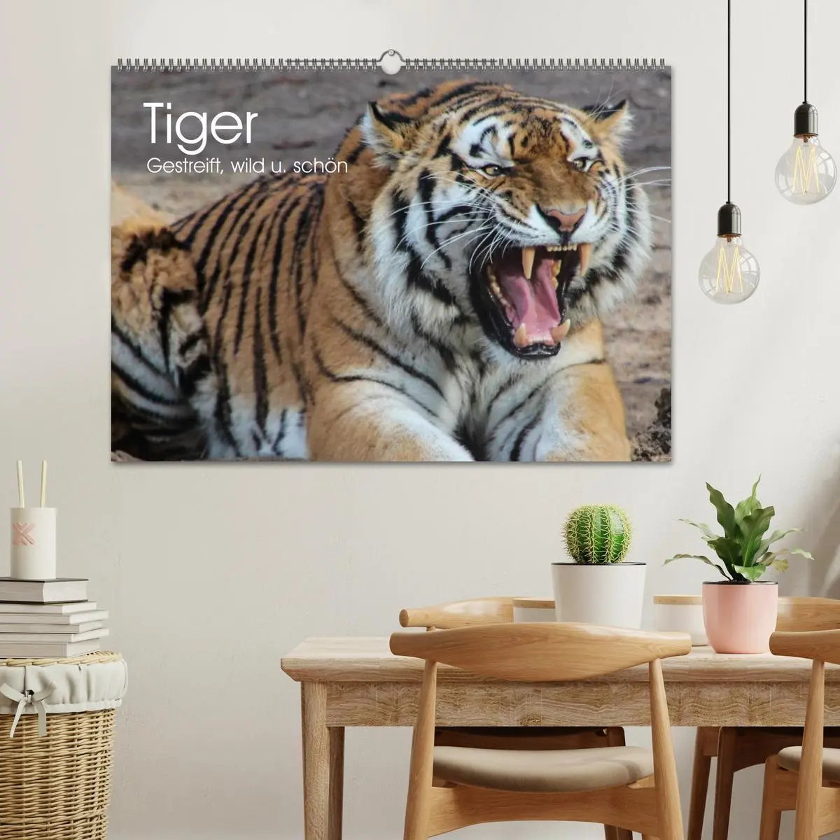 Bild: 9783516145717 | Tiger. Gestreift, wild u. schön (Wandkalender 2026 DIN A2 quer),...