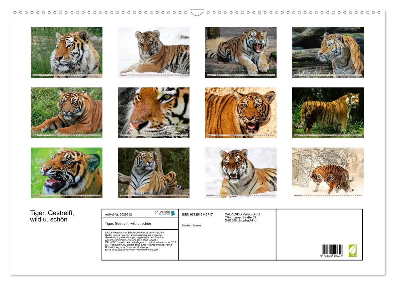 Bild: 9783516145717 | Tiger. Gestreift, wild u. schön (Wandkalender 2026 DIN A2 quer),...