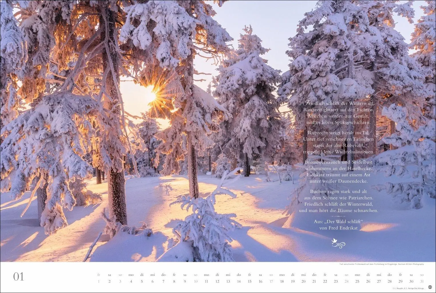 Bild: 9783756415717 | Der deutsche Wald - Ein literarischer Spaziergang Kalender 2027 -...