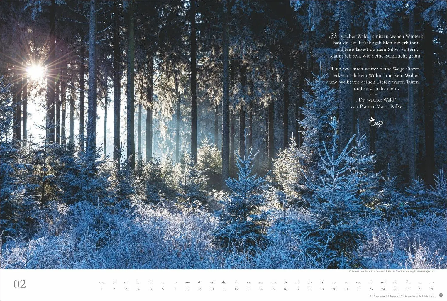 Bild: 9783756415717 | Der deutsche Wald - Ein literarischer Spaziergang Kalender 2027 -...
