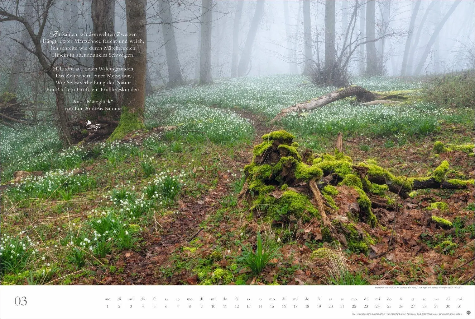 Bild: 9783756415717 | Der deutsche Wald - Ein literarischer Spaziergang Kalender 2027 -...
