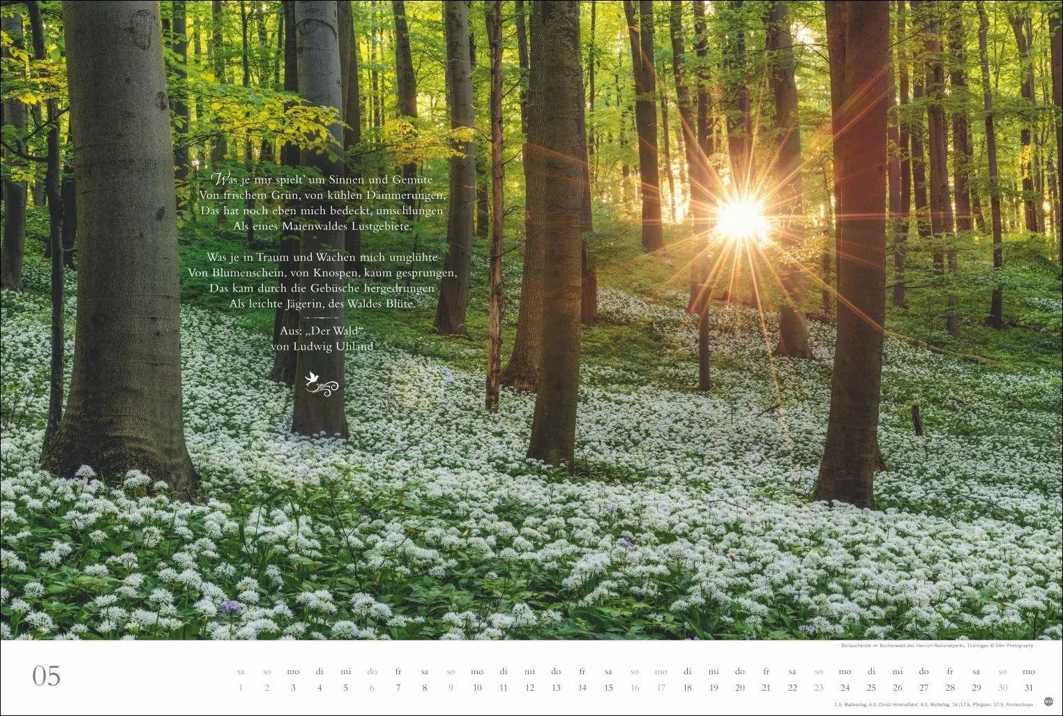 Bild: 9783756415717 | Der deutsche Wald - Ein literarischer Spaziergang Kalender 2027 -...
