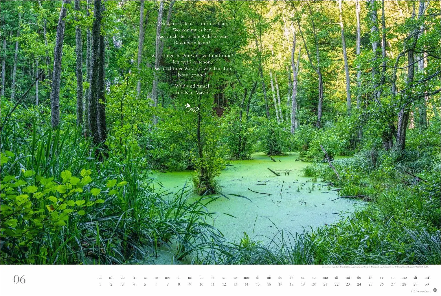 Bild: 9783756415717 | Der deutsche Wald - Ein literarischer Spaziergang Kalender 2027 -...