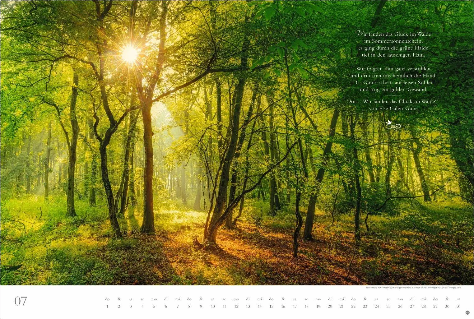 Bild: 9783756415717 | Der deutsche Wald - Ein literarischer Spaziergang Kalender 2027 -...