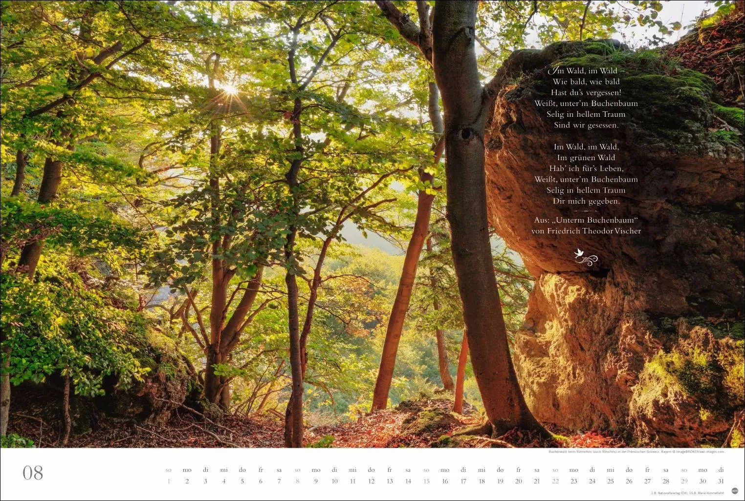 Bild: 9783756415717 | Der deutsche Wald - Ein literarischer Spaziergang Kalender 2027 -...