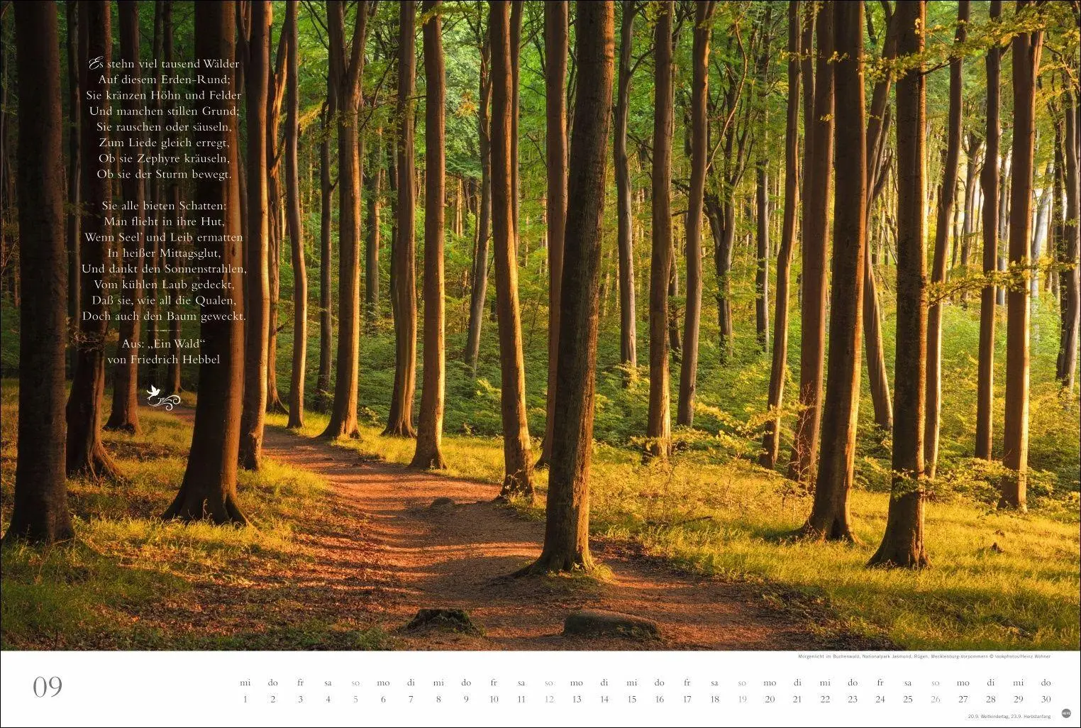 Bild: 9783756415717 | Der deutsche Wald - Ein literarischer Spaziergang Kalender 2027 -...