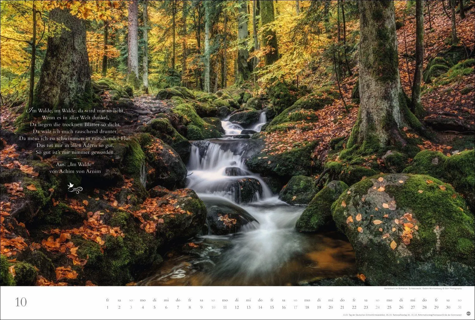 Bild: 9783756415717 | Der deutsche Wald - Ein literarischer Spaziergang Kalender 2027 -...