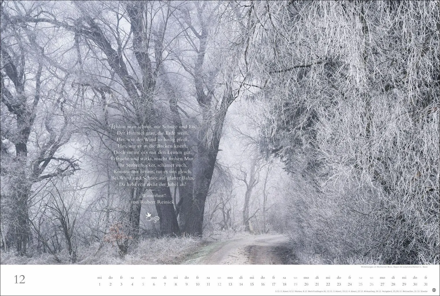 Bild: 9783756415717 | Der deutsche Wald - Ein literarischer Spaziergang Kalender 2027 -...