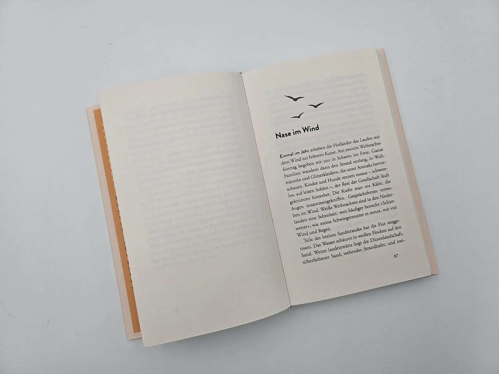 Bild: 9783890295817 | Vom Glück, mit dem Wind zu leben | Renske Jonkman | Buch | 208 S.