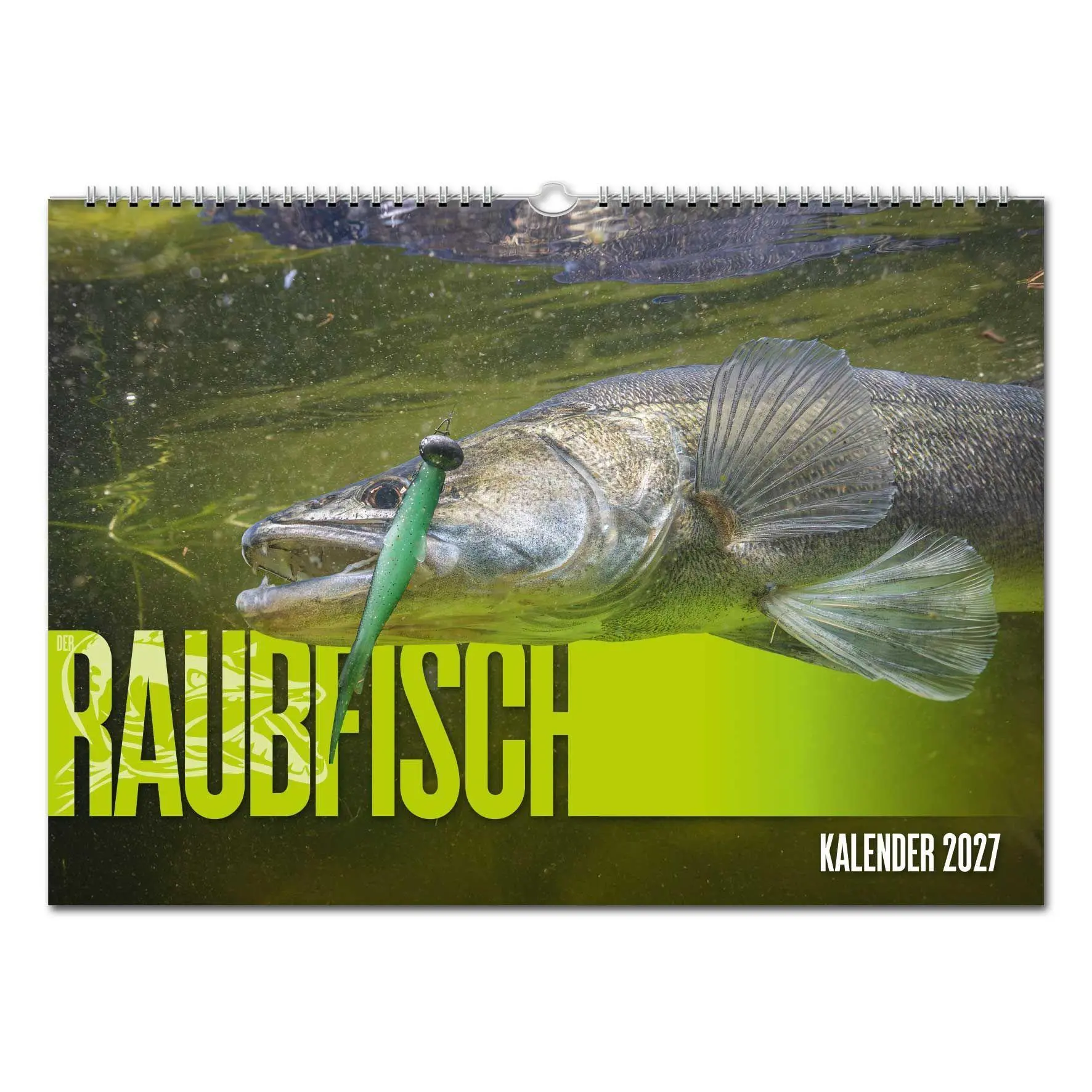 Cover: 9783897155817 | RAUBFISCH Edition: Kalender 2027 | DER RAUBFISCH | FuF/Raubfisch
