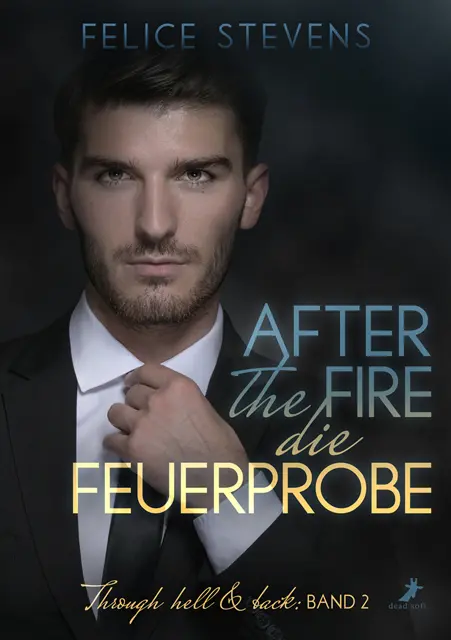 Cover: 9783960895817 | After the fire - die Feuerprobe | Through hell &amp; back 2 | Stevens