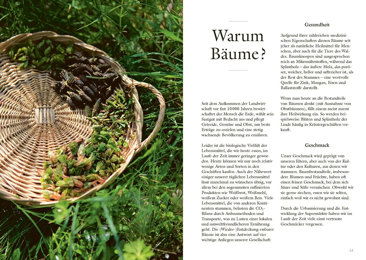 Bild: 9783818625917 | Wundervolle Waldküche | Aurélie Valtat | Taschenbuch | 144 S. | 2025