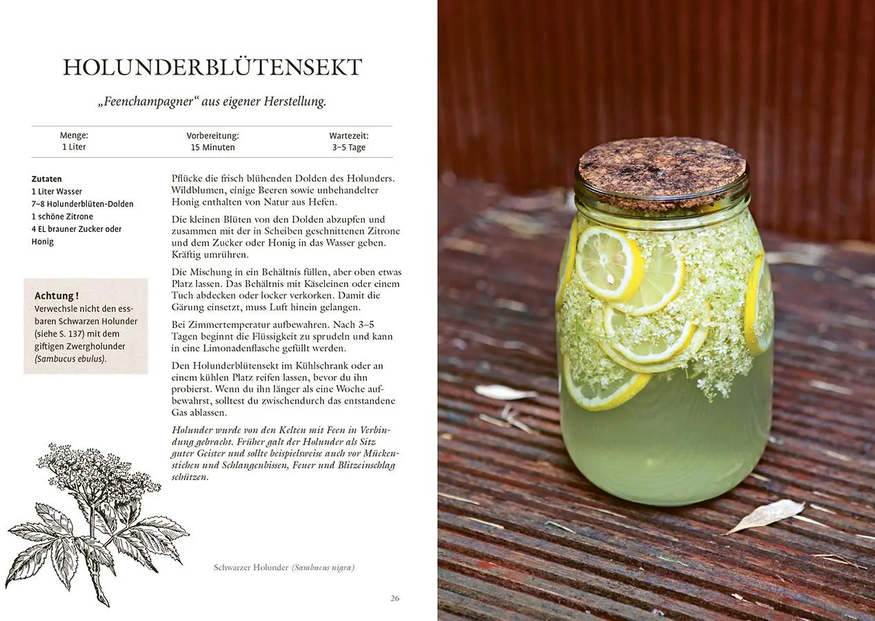 Bild: 9783818625917 | Wundervolle Waldküche | Aurélie Valtat | Taschenbuch | 144 S. | 2025