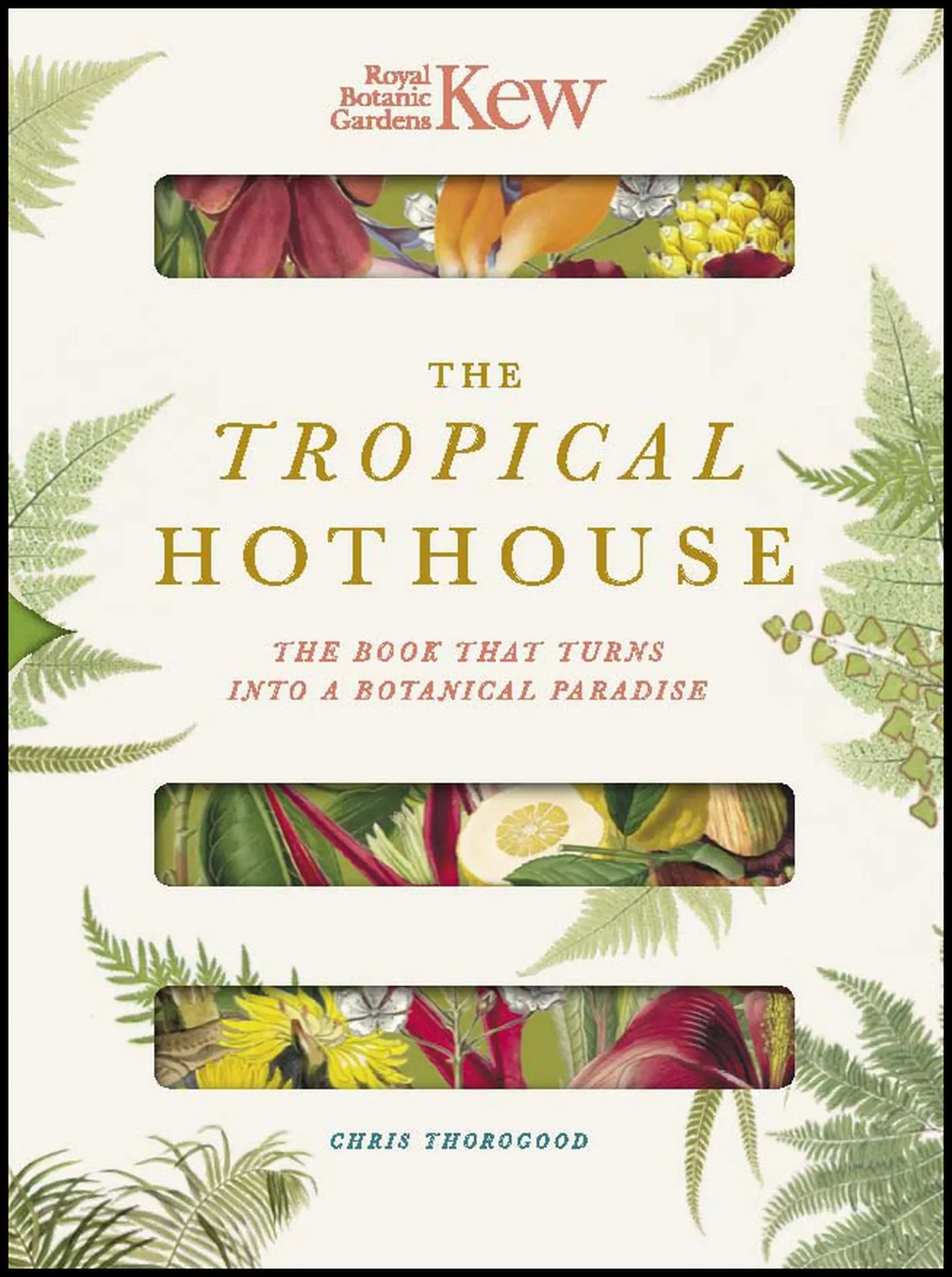 Cover: 9780233006017 | Royal Botanic Gardens Kew - The Tropical Hothouse | Thorogood (u. a.)