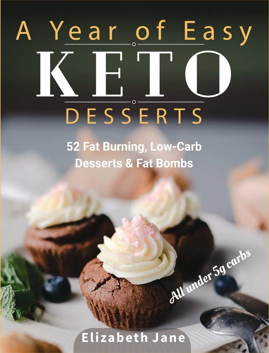 Cover: 9781913436117 | A Year of Easy Keto Desserts | Elizabeth Jane | Buch | Englisch | 2019
