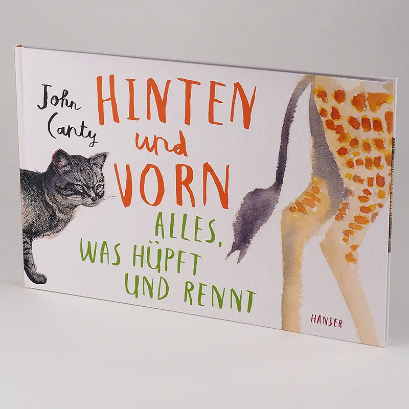 Bild: 9783446266117 | Hinten und vorn - Alles, was hüpft und rennt | John Canty | Buch