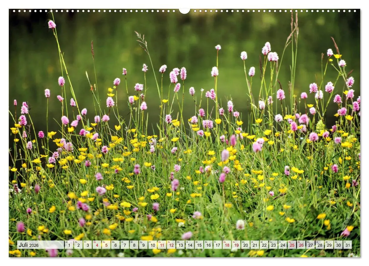 Bild: 9783457776117 | Georgien - Kirchen Klöster Kaukasus (Wandkalender 2026 DIN A2...