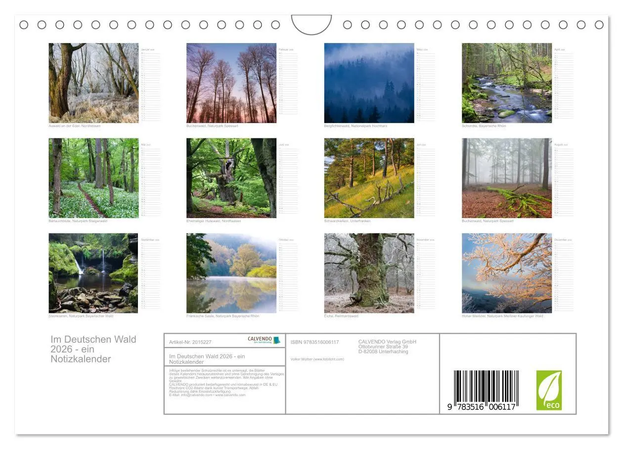 Bild: 9783516006117 | Im Deutschen Wald 2026 - ein Notizkalender (Wandkalender 2026 DIN...