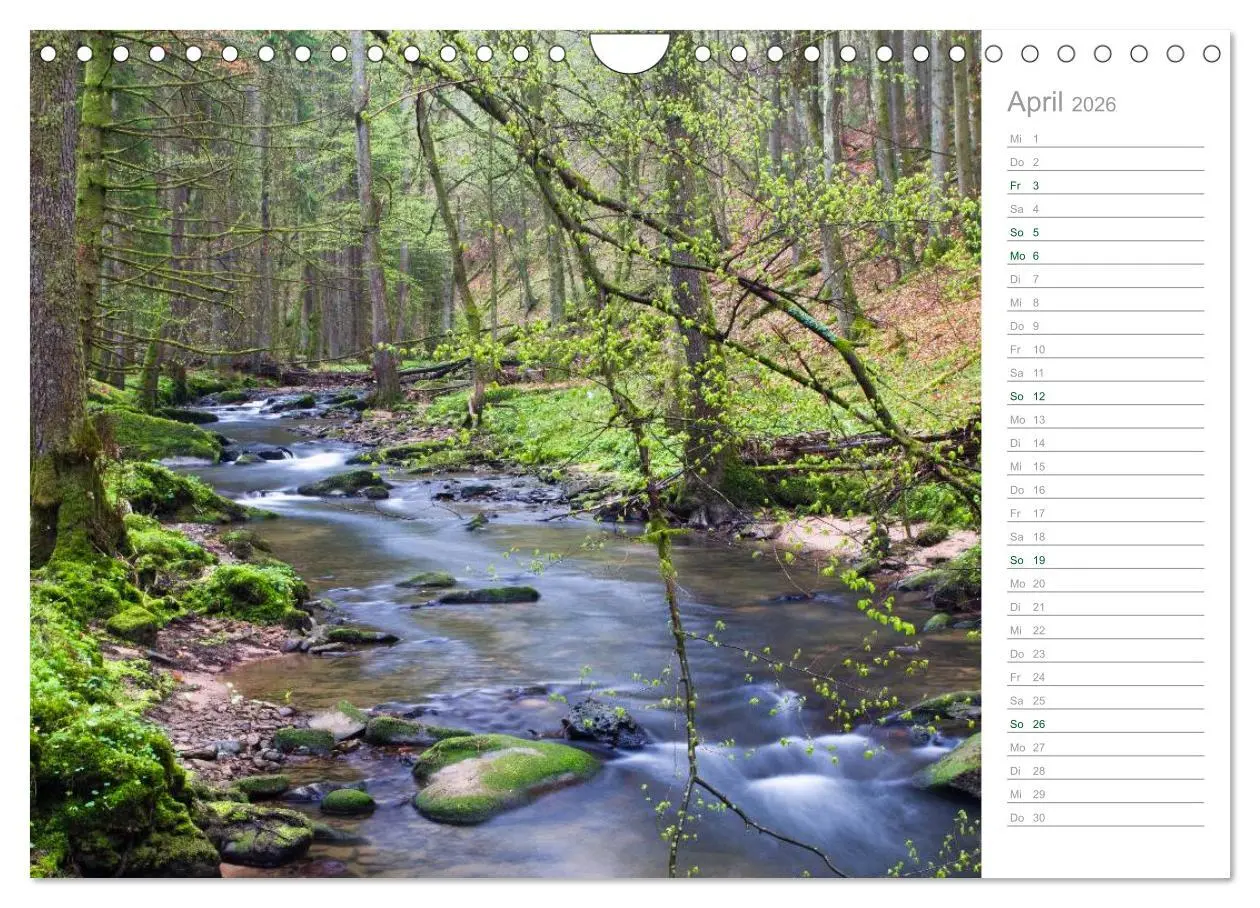 Bild: 9783516006117 | Im Deutschen Wald 2026 - ein Notizkalender (Wandkalender 2026 DIN...