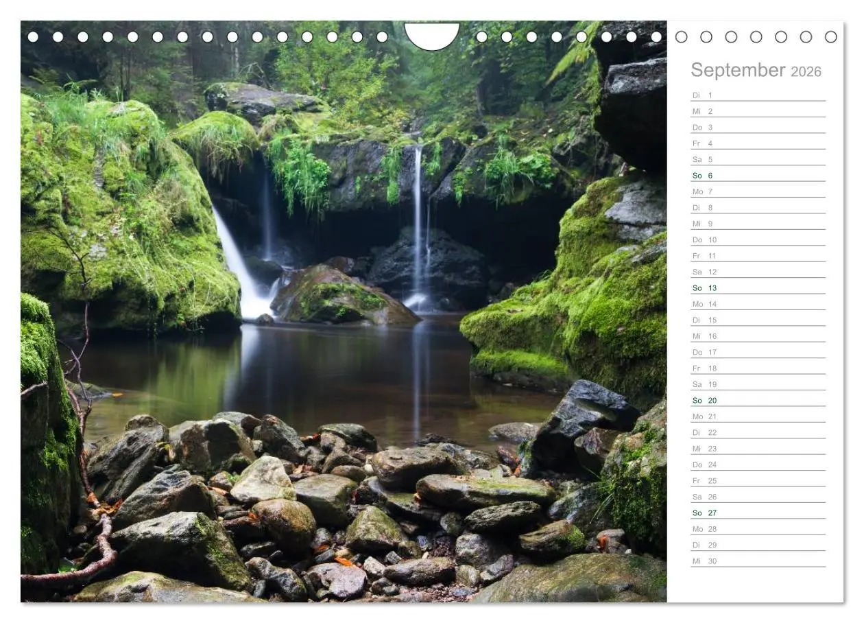 Bild: 9783516006117 | Im Deutschen Wald 2026 - ein Notizkalender (Wandkalender 2026 DIN...