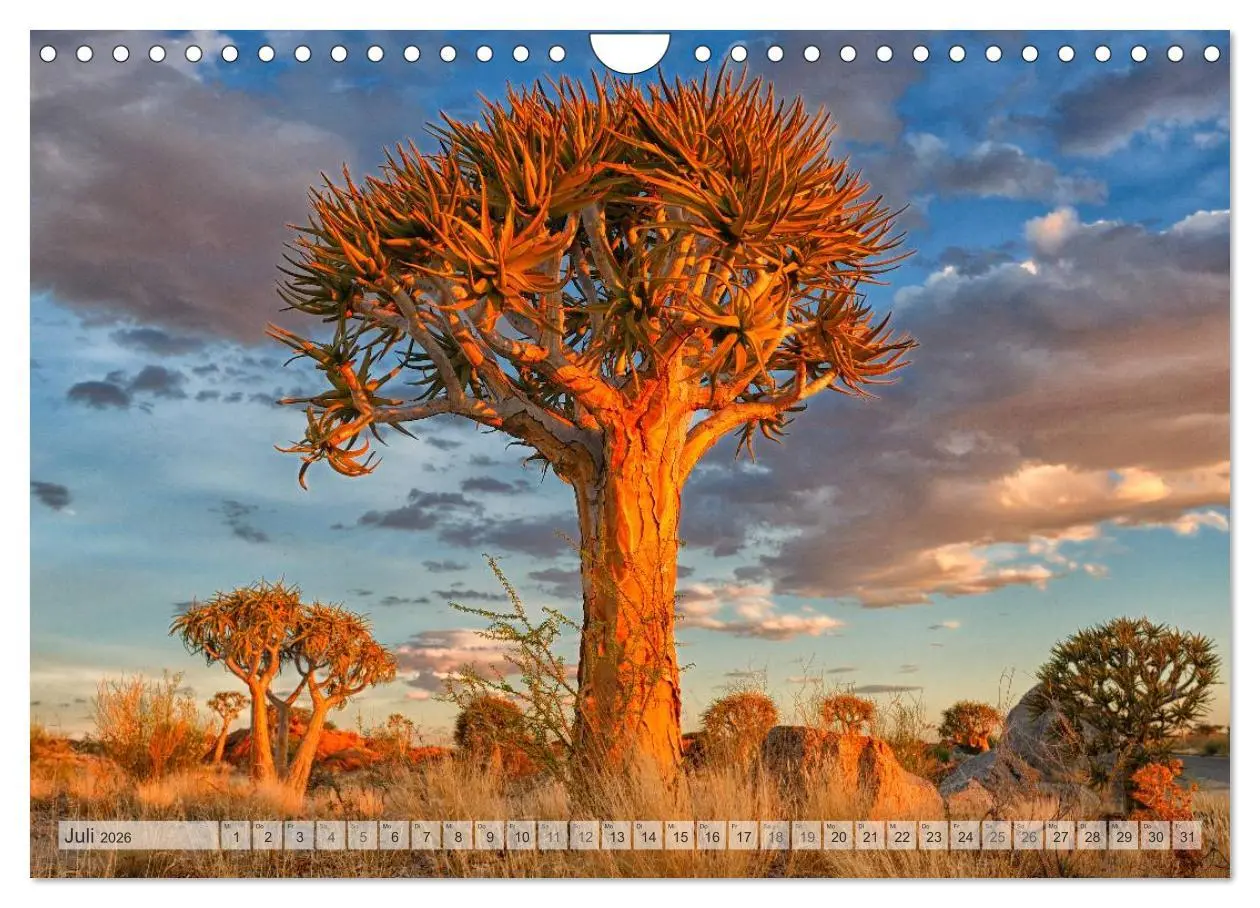 Bild: 9783516176117 | Südafrika Christian Heeb (Wandkalender 2026 DIN A4 quer), CALVENDO...