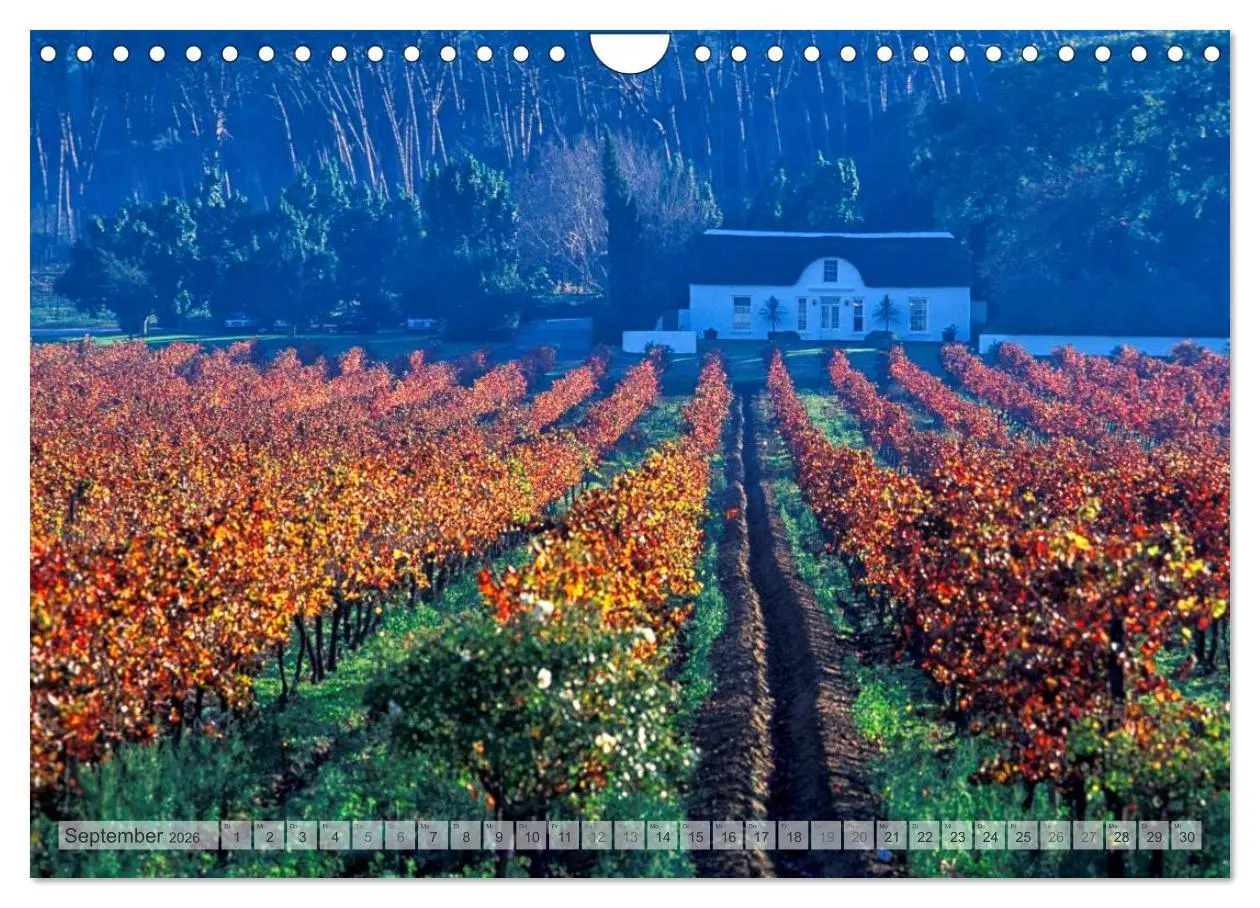 Bild: 9783516176117 | Südafrika Christian Heeb (Wandkalender 2026 DIN A4 quer), CALVENDO...