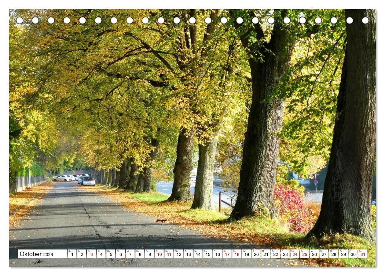 Bild: 9783457906217 | Hardheim und Umgebung (Tischkalender 2026 DIN A5 quer), CALVENDO...