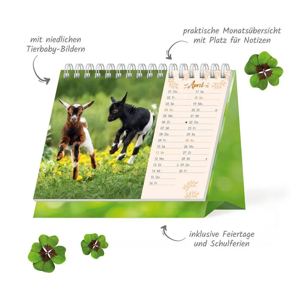 Bild: 9783988026217 | TRÖTSCH - Aufstellkalender Süße Tierfreunde 2027 | KG | Kalender