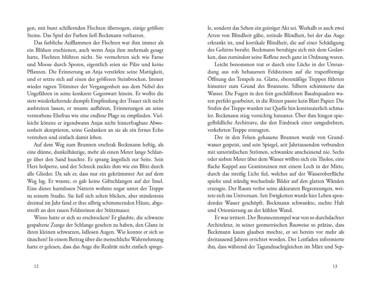 Bild: 9783747206317 | Die Chinesin | Kriminalroman | Jochen Brunow | Taschenbuch | 296 S.