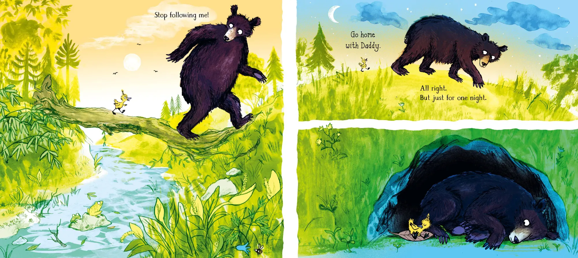 Bild: 9781529076417 | Gozzle | Julia Donaldson | Buch | 44 S. | Englisch | 2025