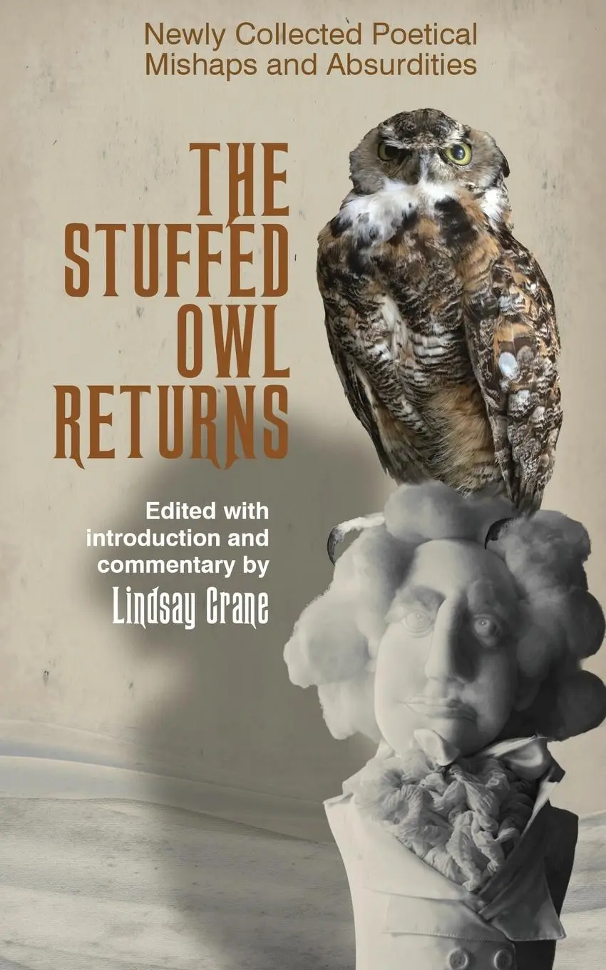 Cover: 9781736986417 | the Stuffed Owl Returns | Lindsay Crane | Taschenbuch | Englisch