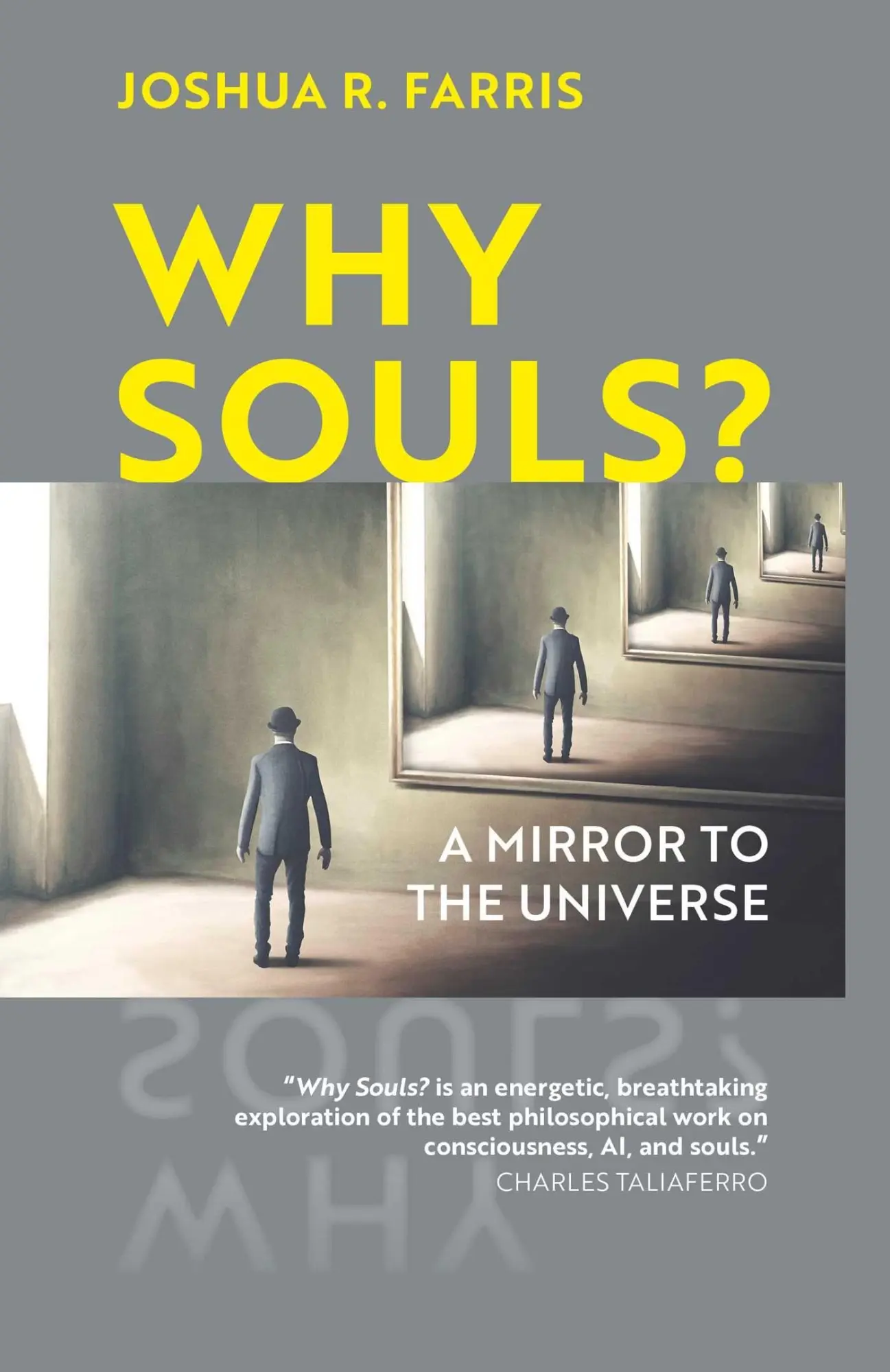 Cover: 9781903816417 | Why Souls? | A Mirror to the Universe | Joshua R. Farris | Taschenbuch