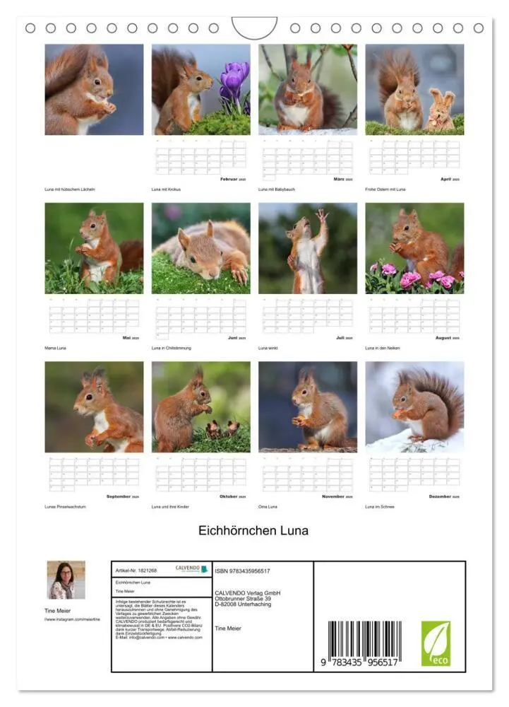 Bild: 9783435956517 | Eichhörnchen Luna (Wandkalender 2025 DIN A4 hoch), CALVENDO...