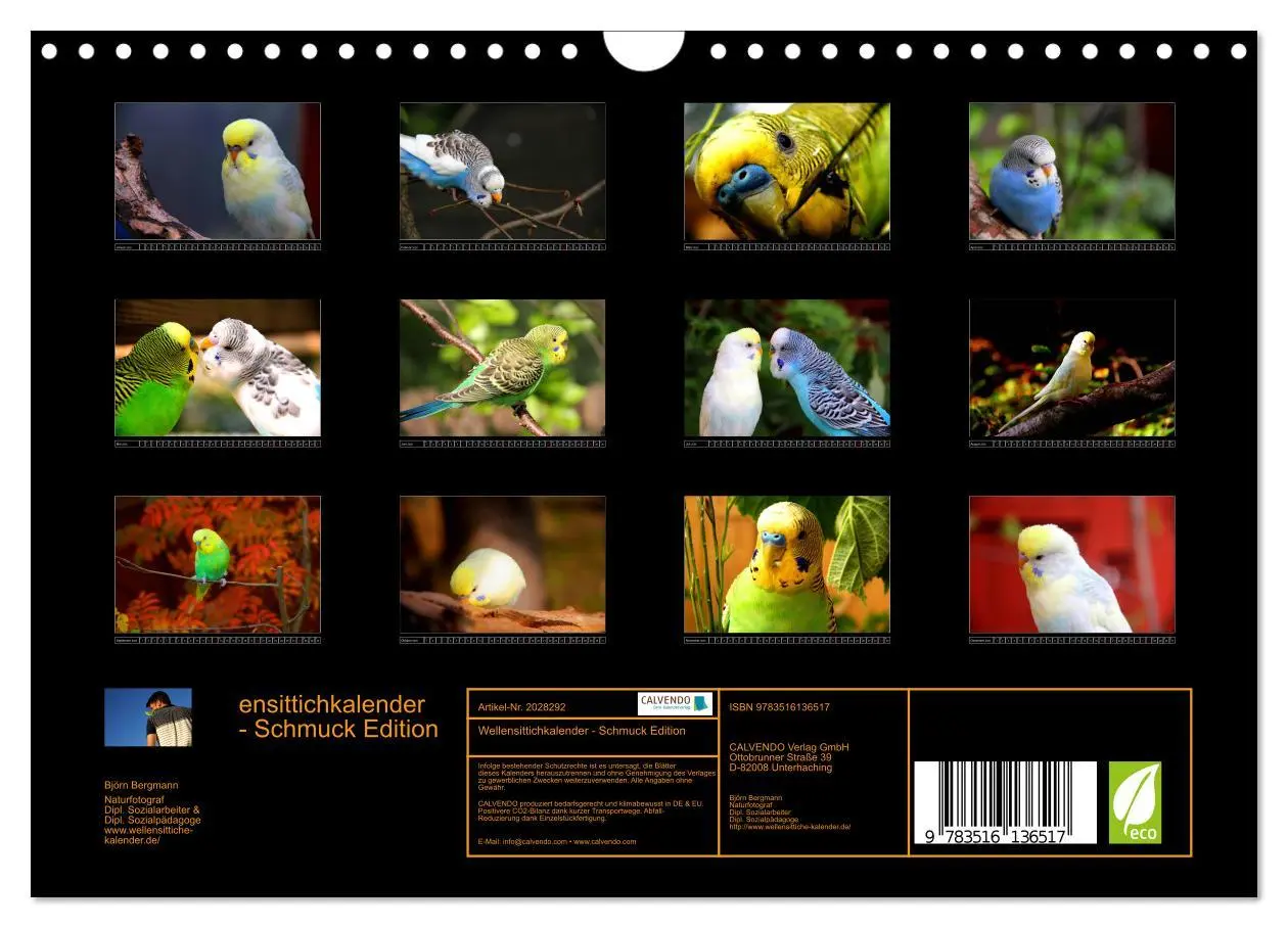 Bild: 9783516136517 | Wellensittichkalender - Schmuck Edition (Wandkalender 2026 DIN A4...