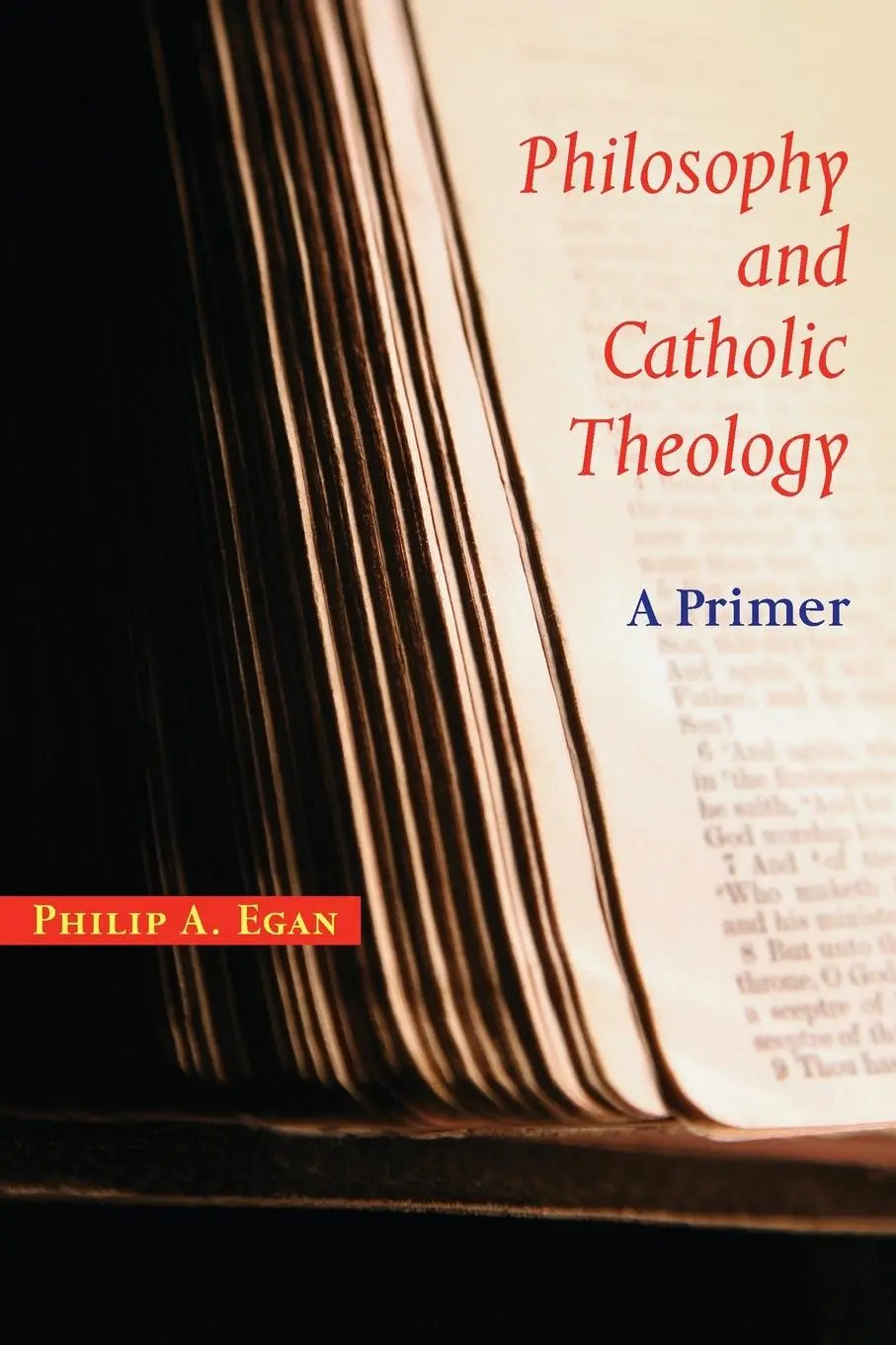 Cover: 9780814656617 | Philosophy and Catholic Theology | A Primer | Philip A Egan | Buch