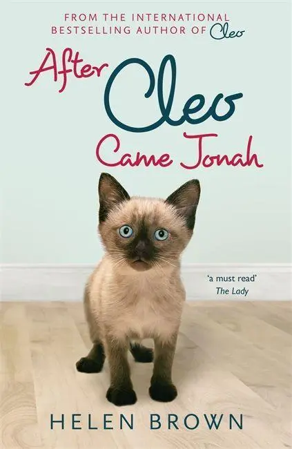 Cover: 9781444736717 | After Cleo, Came Jonah | Helen Brown | Taschenbuch | Englisch | 2013