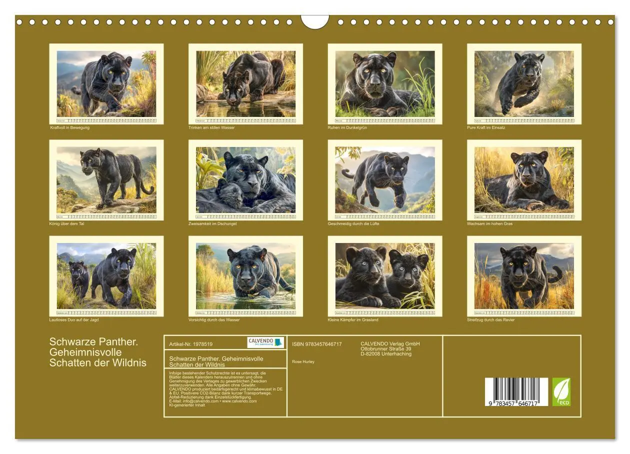 Bild: 9783457646717 | Schwarze Panther. Geheimnisvolle Schatten der Wildnis (Wandkalender...