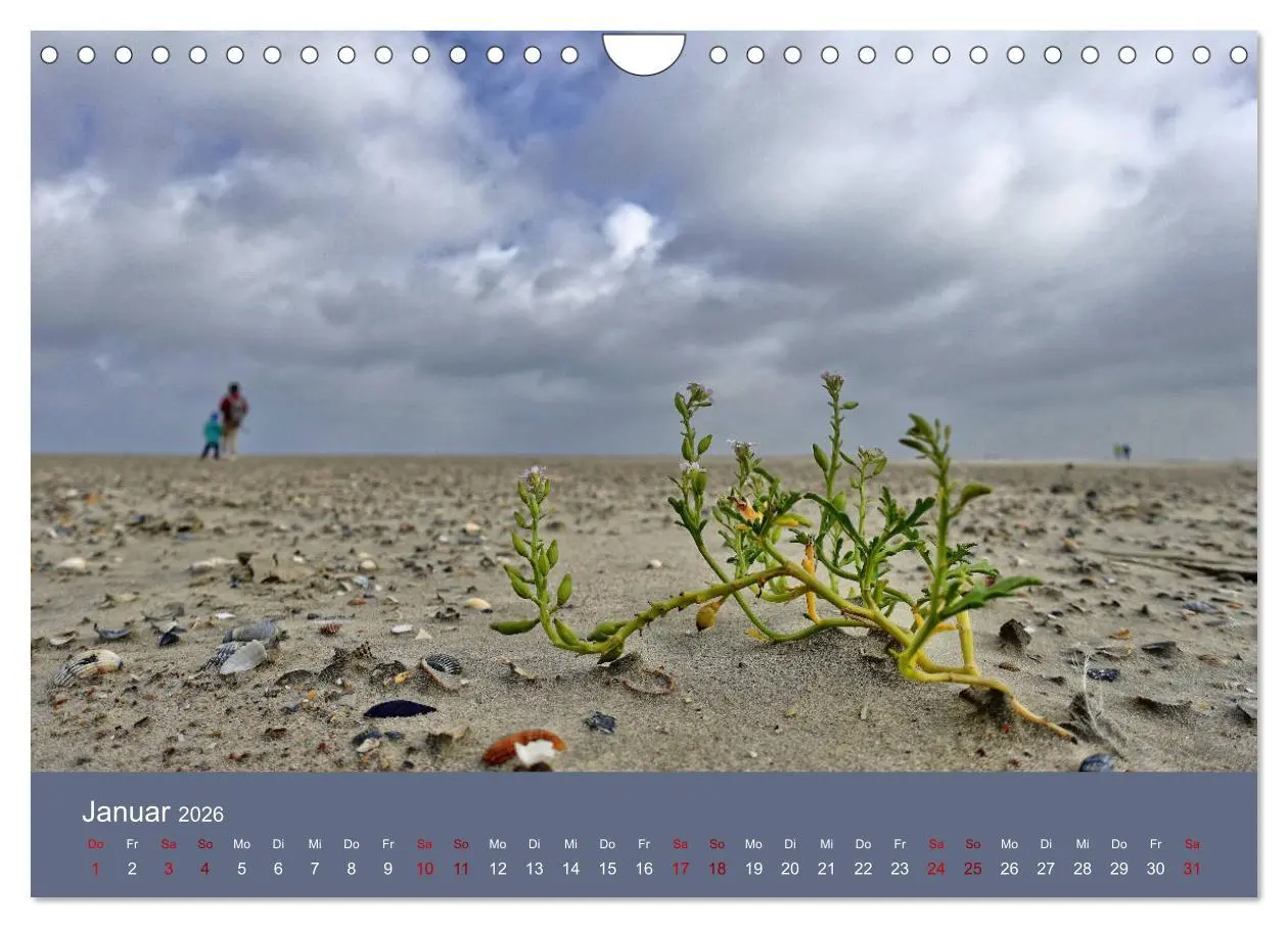 Bild: 9783457886717 | Norderney - Meine Trauminsel (Wandkalender 2026 DIN A4 quer),...