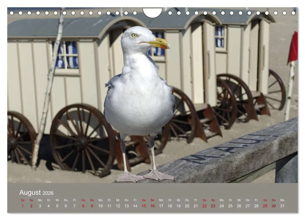 Bild: 9783457886717 | Norderney - Meine Trauminsel (Wandkalender 2026 DIN A4 quer),...