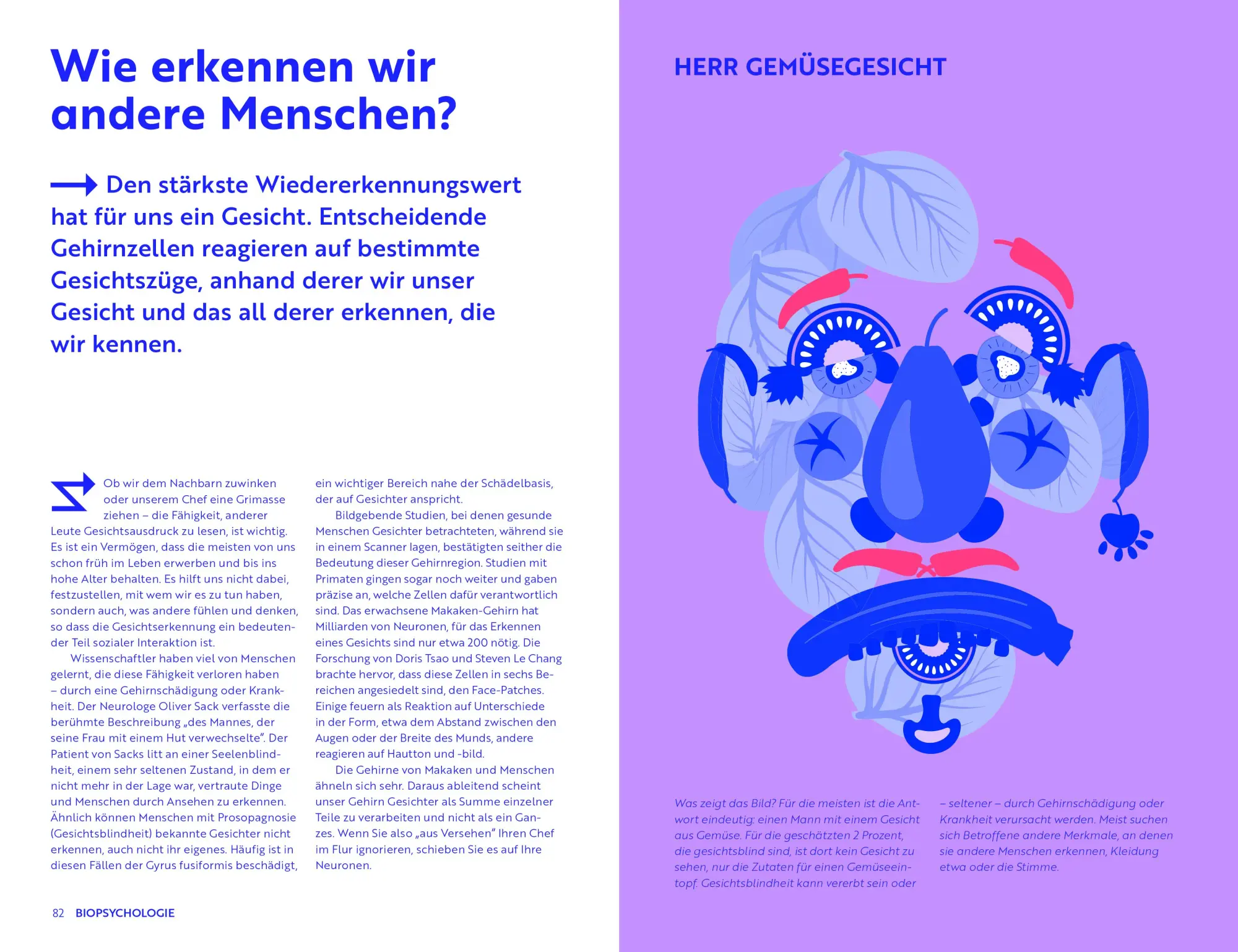 Bild: 9789463596817 | Psychologie | Einführung in bahnbrechende Ideen | Jeniffer Wild | Buch