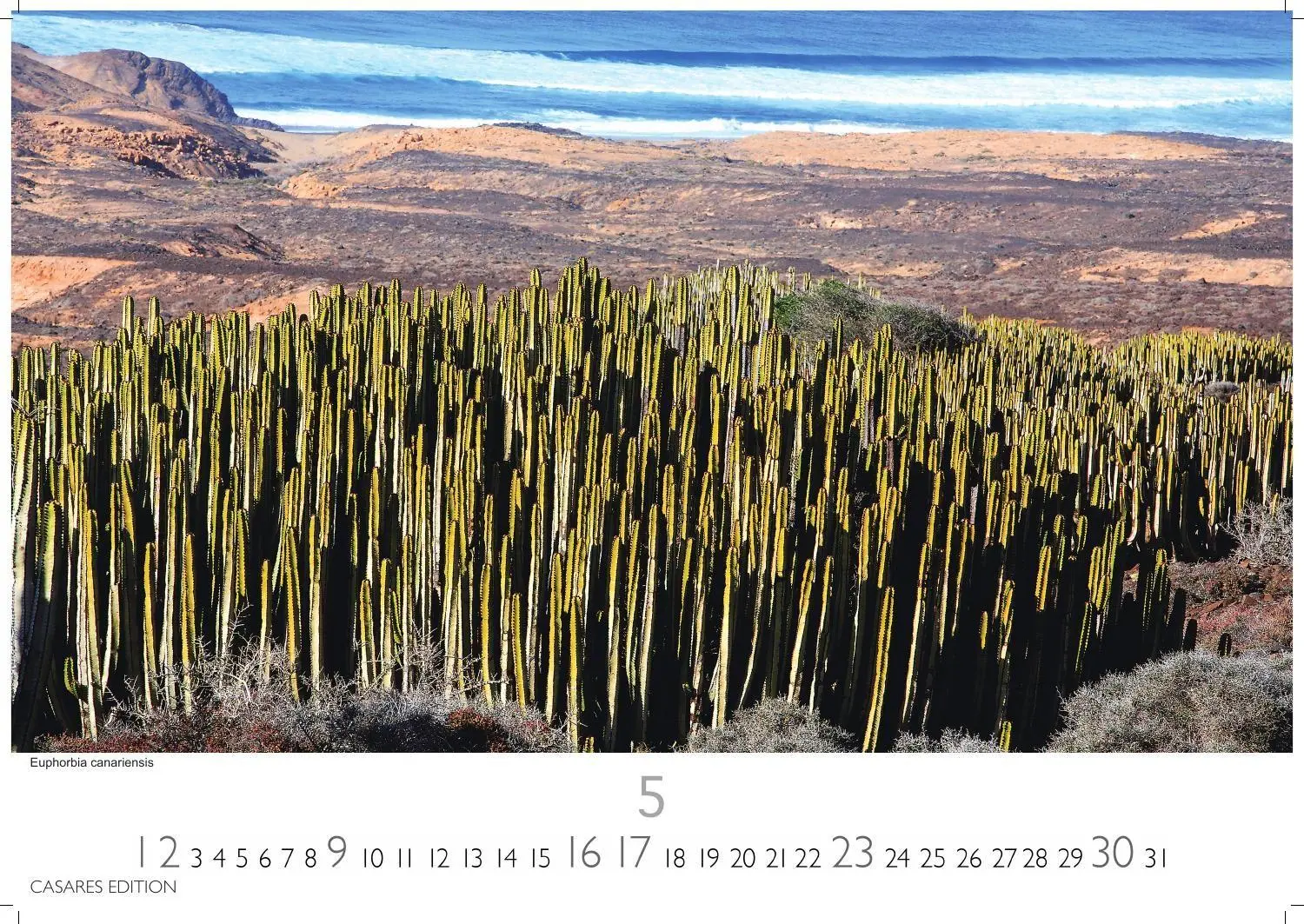 Bild: 9781835246917 | Fuerteventura Kalender 2027 - Wandkalender Fotokalender Spanien...
