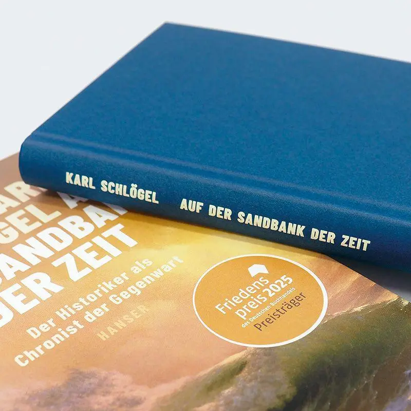 Bild: 9783446286917 | Auf der Sandbank der Zeit | Der Historiker als Chronist der Gegenwart