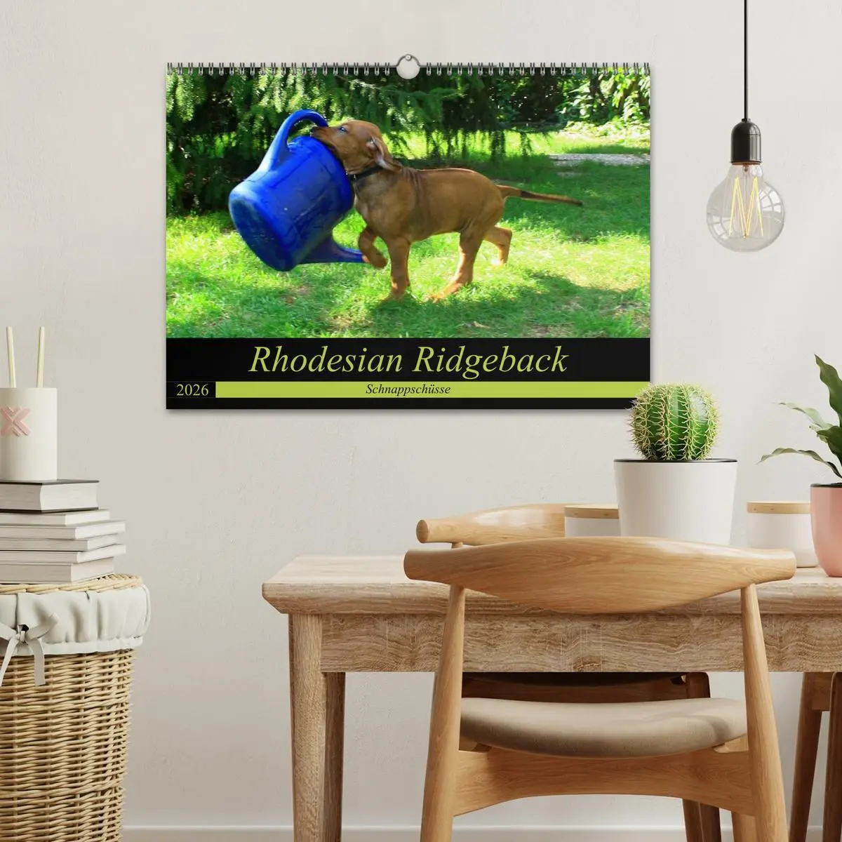 Bild: 9783457936917 | Rhodesian Ridgeback - Schnappschüsse - (Wandkalender 2026 DIN A3...