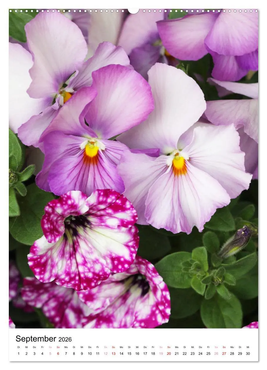 Bild: 9783516266917 | Ein Jahr voller Blumen (Wandkalender 2026 DIN A2 hoch), CALVENDO...