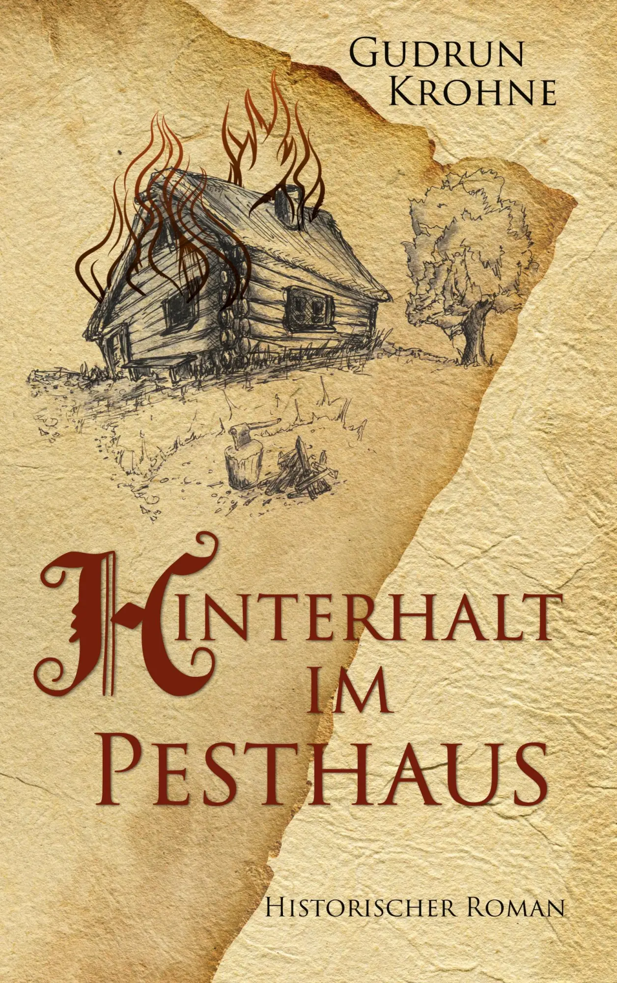 Cover: 9783740766917 | Hinterhalt im Pesthaus | Historischer Roman | Gudrun Krohne | Buch