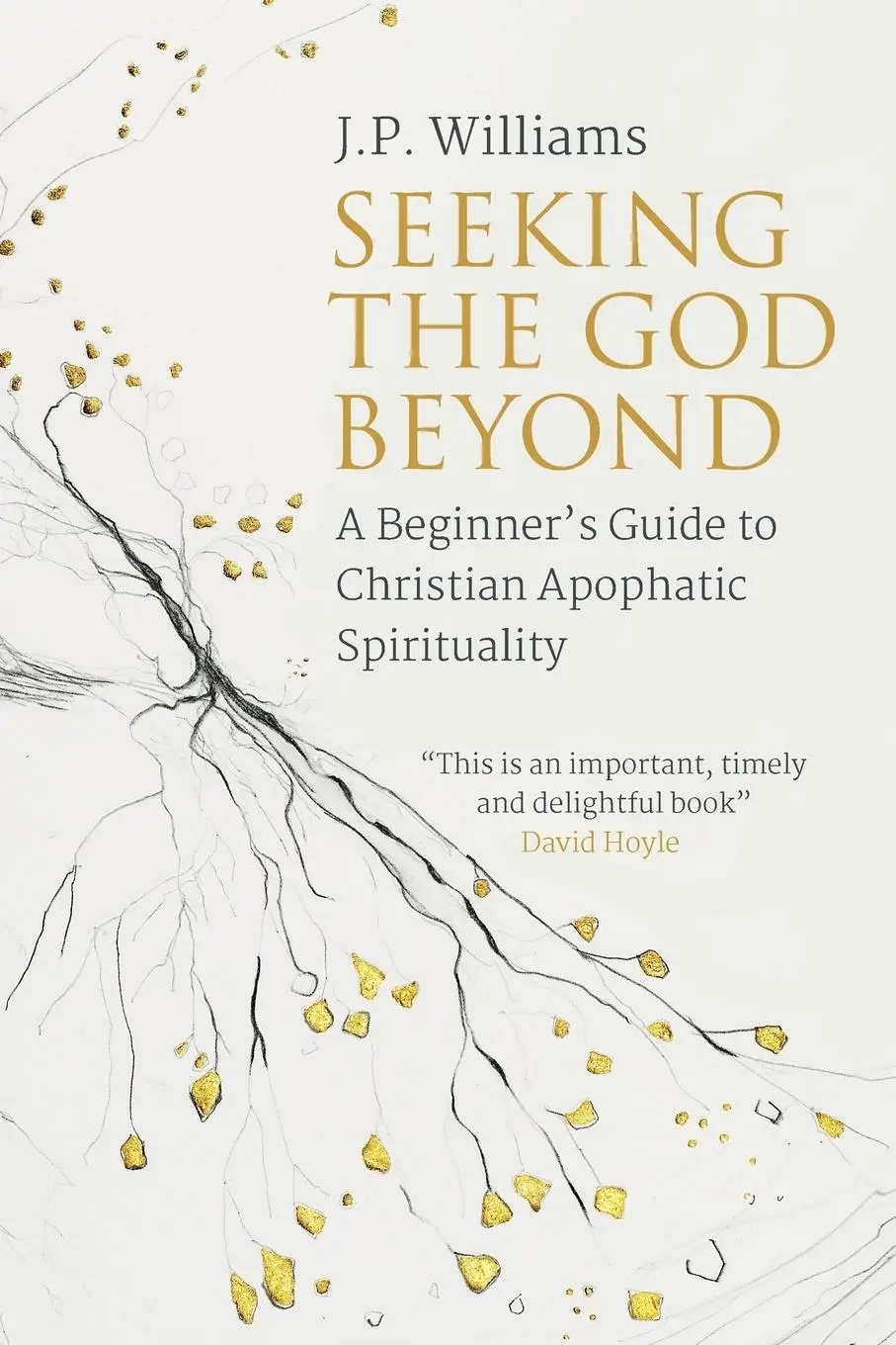Cover: 9780334057017 | Seeking the God Beyond | J. P Williams | Taschenbuch | Englisch | 2018