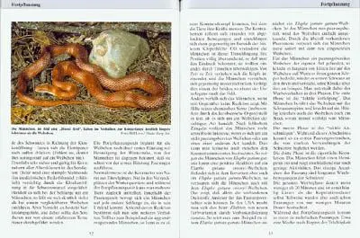 Bild: 9783931587017 | Kornnattern | Wolfgang Schmidt | Taschenbuch | Terrarien Bibliothek